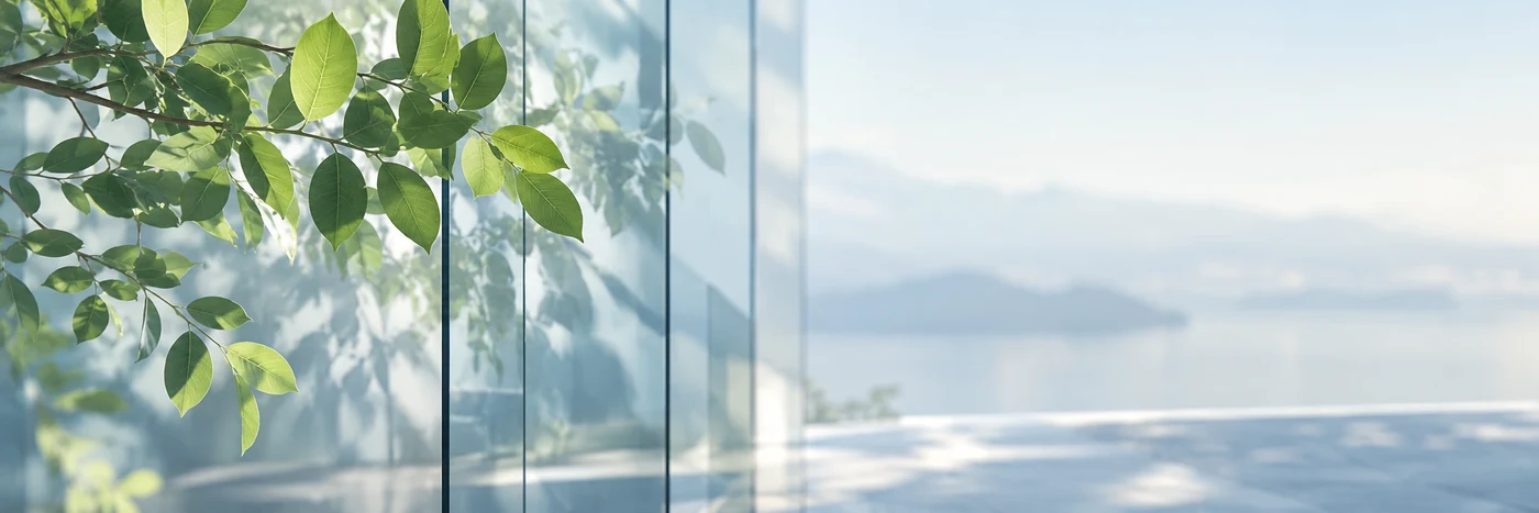自然光に透ける植物の葉とガラス